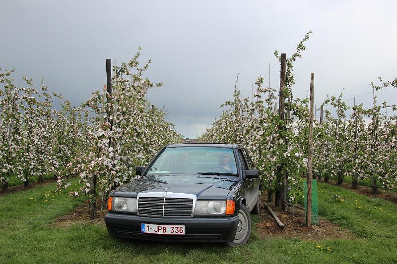 MG Bloesemrit op 24-4-2016 org. Jos&Marie-lou  (276).JPG